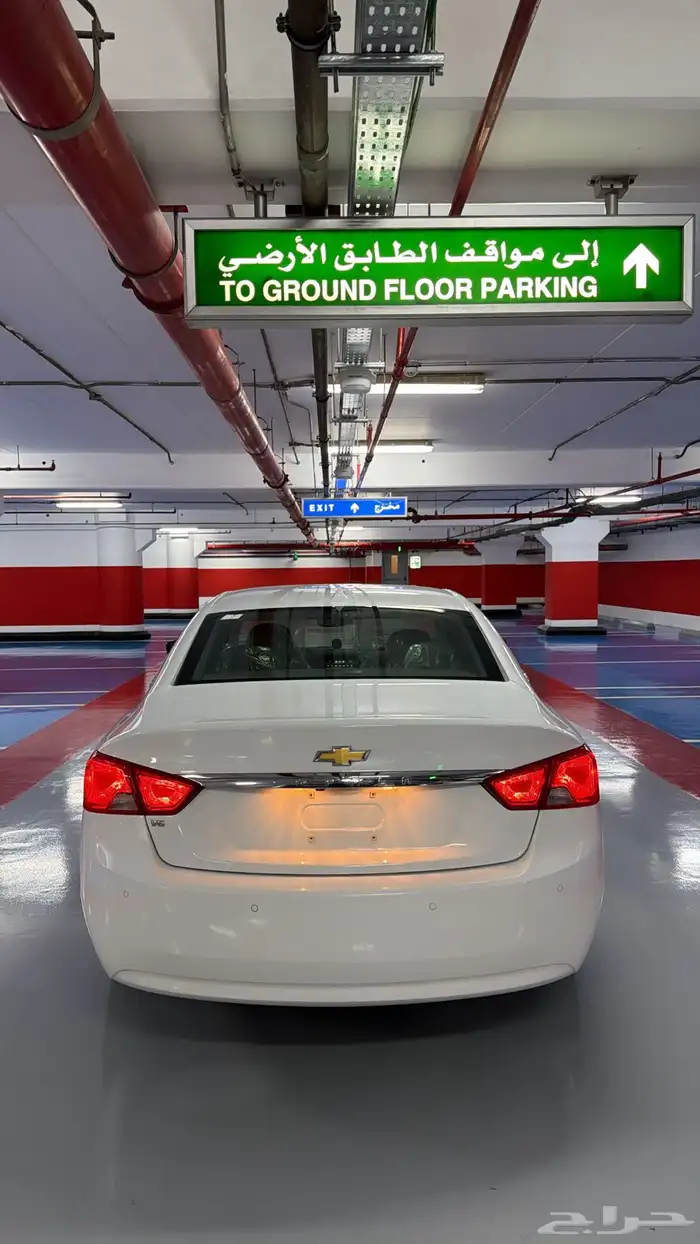 آمبالا الغزال الامريكي   . 5