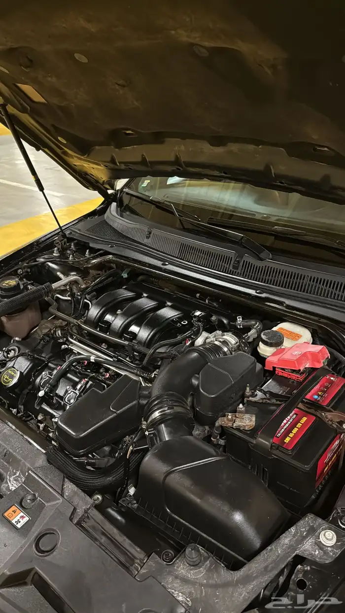 تورس 2015 لمتد 26