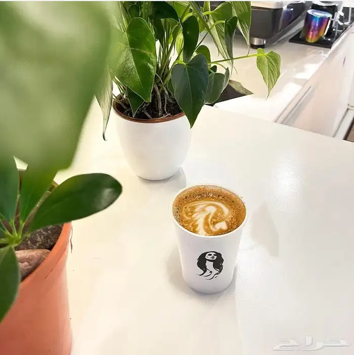 طباعه كافه انواع الاكواب والورقيه والبلاستيك بكافه المقاسات 1