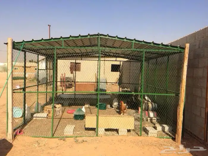 شبك بقلاوه 4 في 4 0