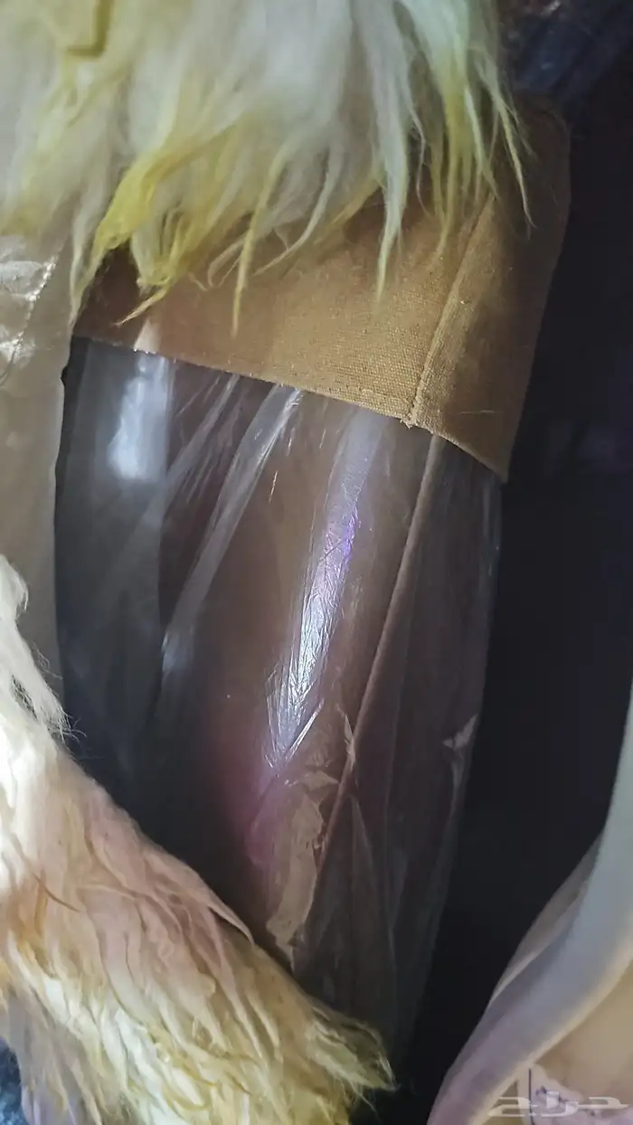 جيب ربع 22 موصفات خاصه فل كامل 70 عام اقبل بلدل 11