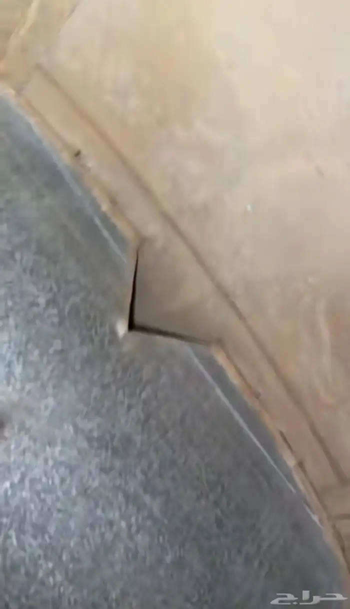 وايت مويا تيدر تانكي صهريج 7