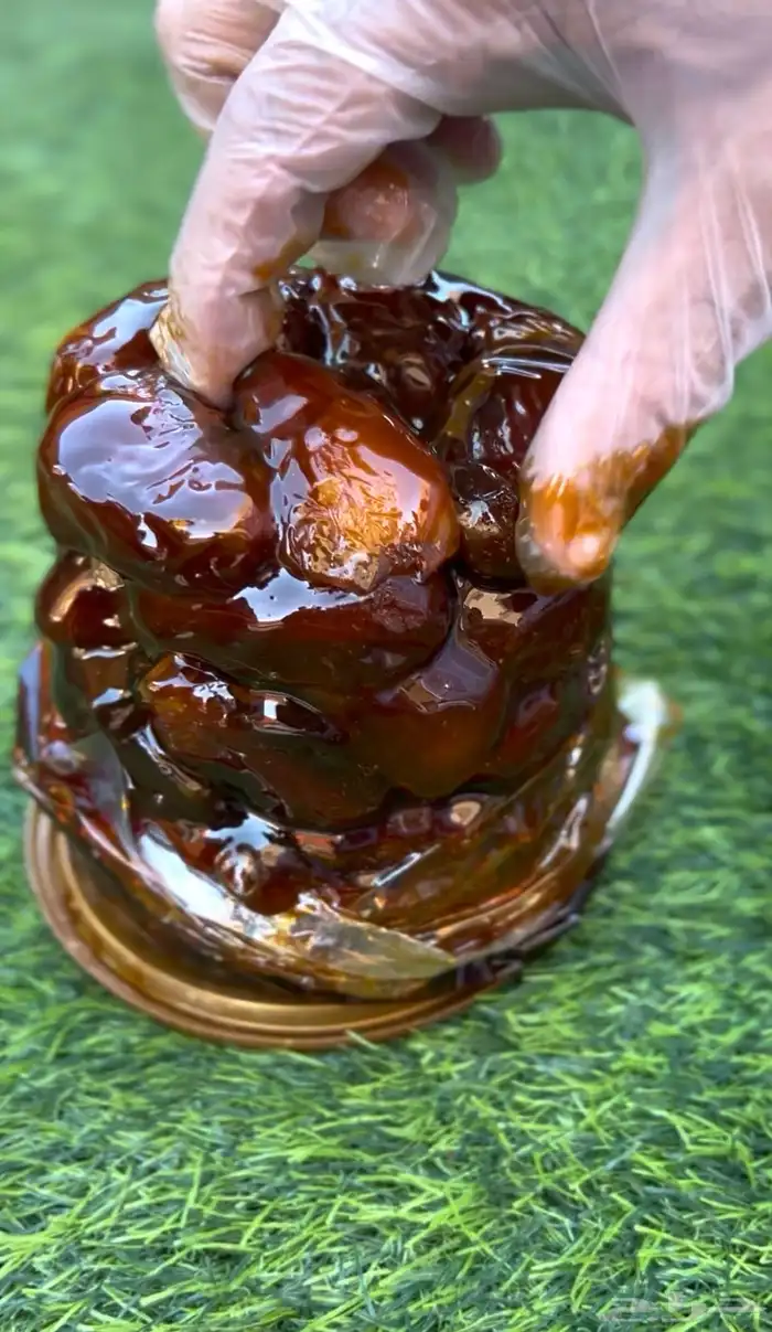 تمور فنخاء حائل 1