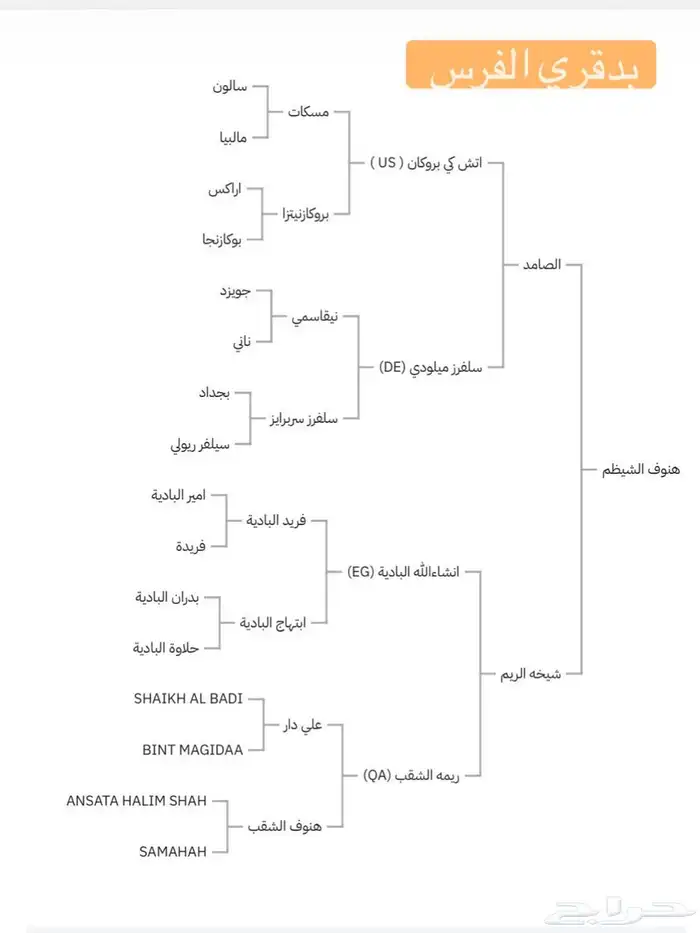 فرس واهو لقاح ثقيل 4