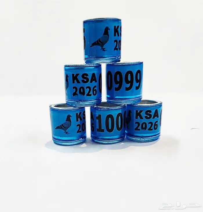 حجول حمام 2026 2