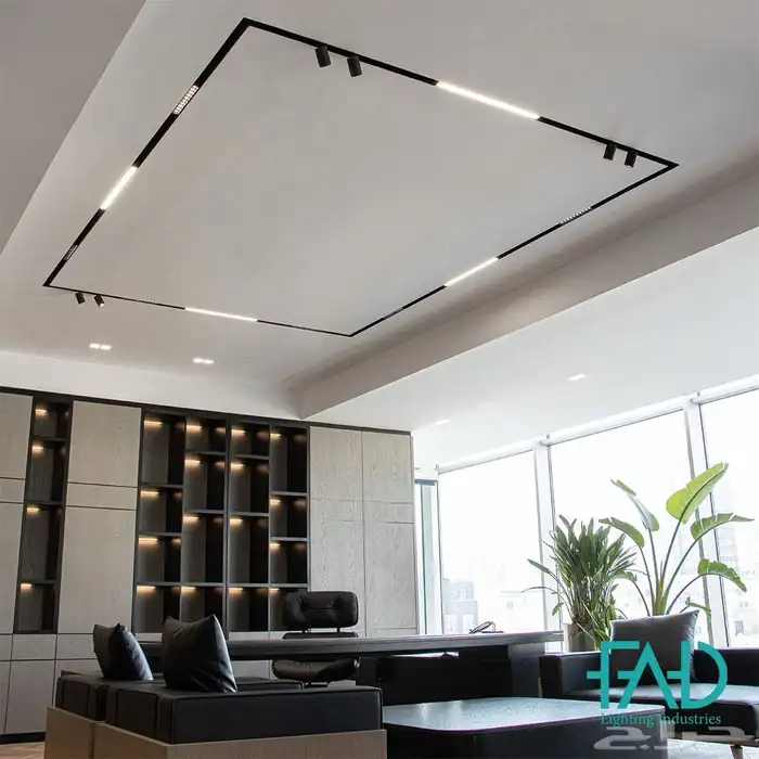 كشافات ماجناتيك 2