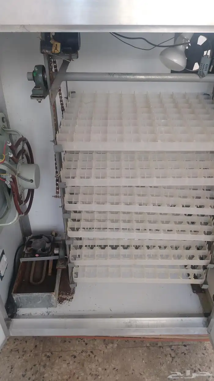 فقاسه 528 بيضة دجاج 4