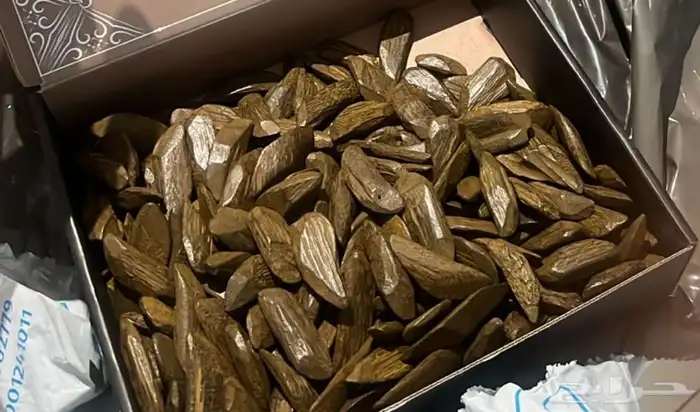 عود مروكي عالمي 0