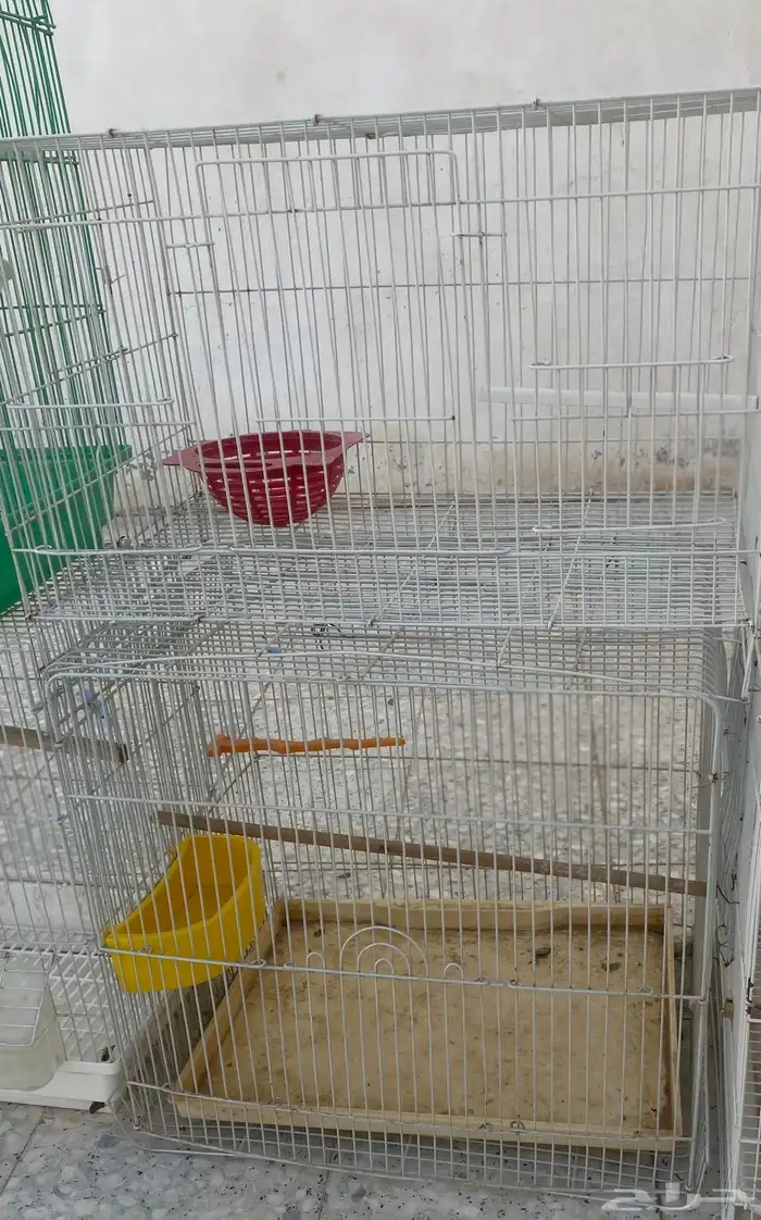 اقفاص طيور 6