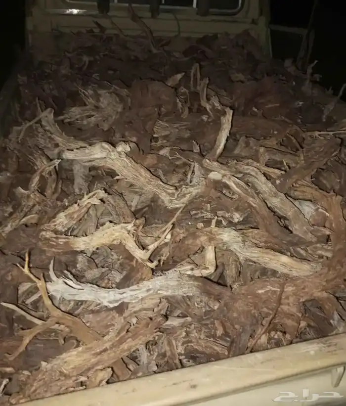 حطب أرطى وغضى 0