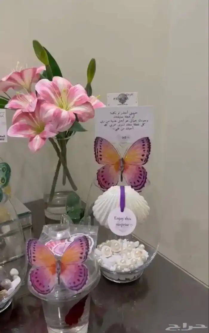 سمك فايتر 11