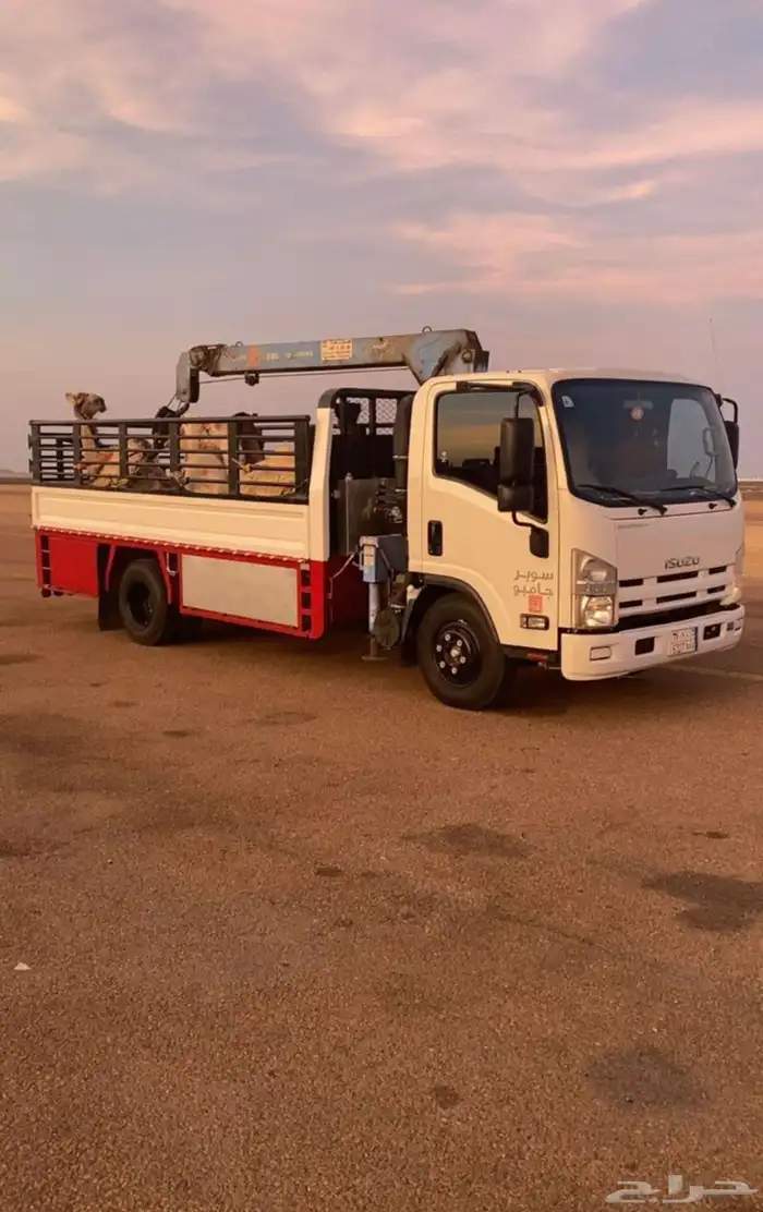 دينا ابل للتحميل 0