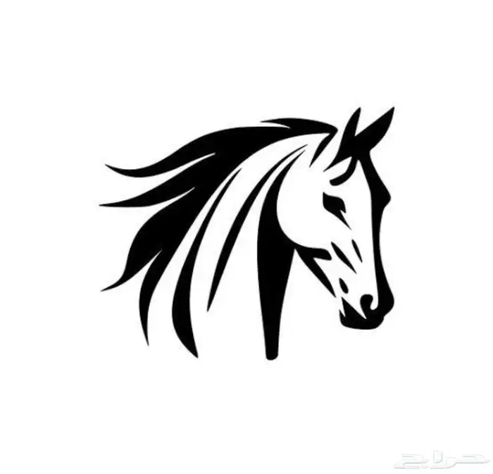 اسطبل للايجار اليومي والتدريب والايواء 0