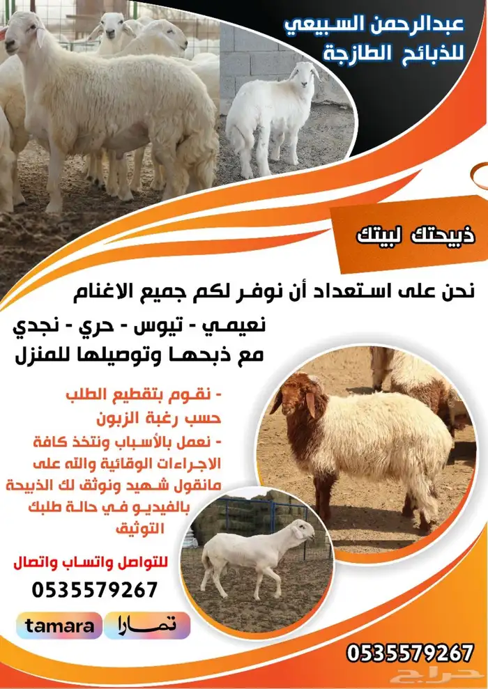 ذبايح حري نعيم تيس توصيل الي حد البيت والمطابخ يوجد تمارى 0