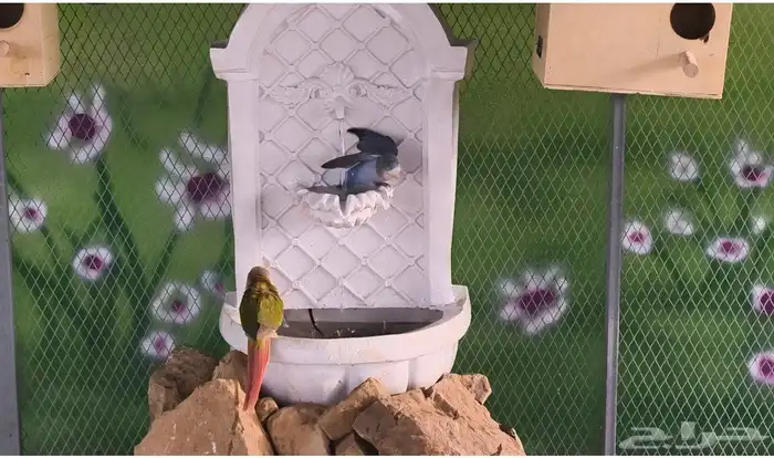 نوافير جدارية للبيع 3