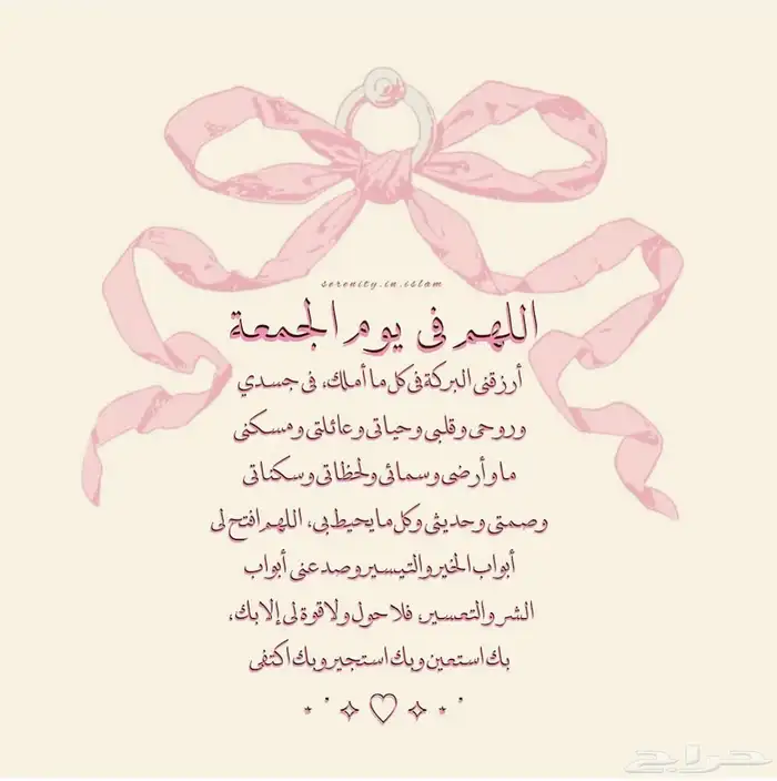 ابي قطه انثى تبني 0