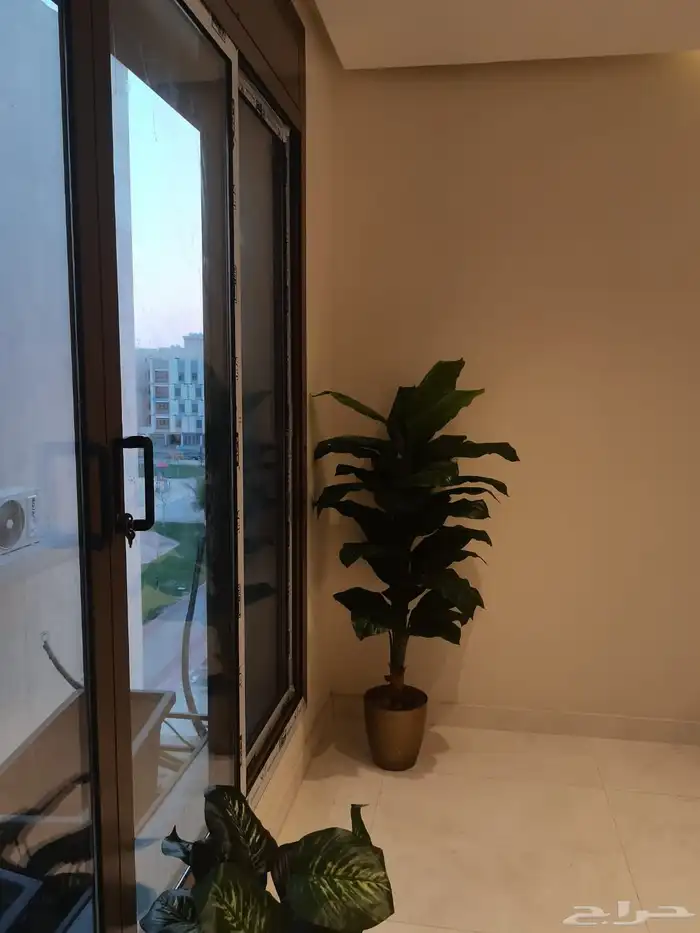 شقة للايجار 7