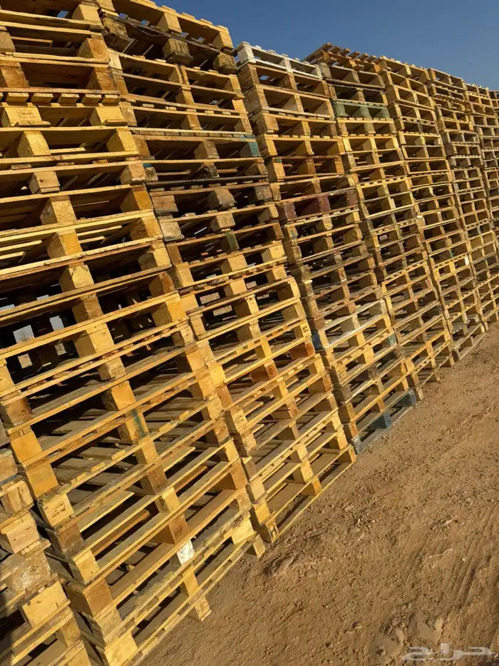 مطلوب 300 طبليات 0