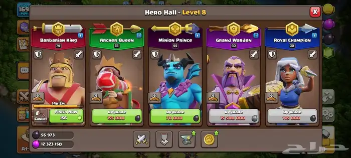 حساب كلاش اوف كلانس ورويال للبيع 25