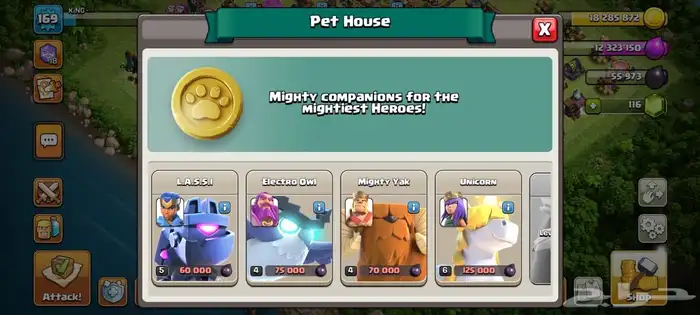 حساب كلاش اوف كلانس ورويال للبيع 19