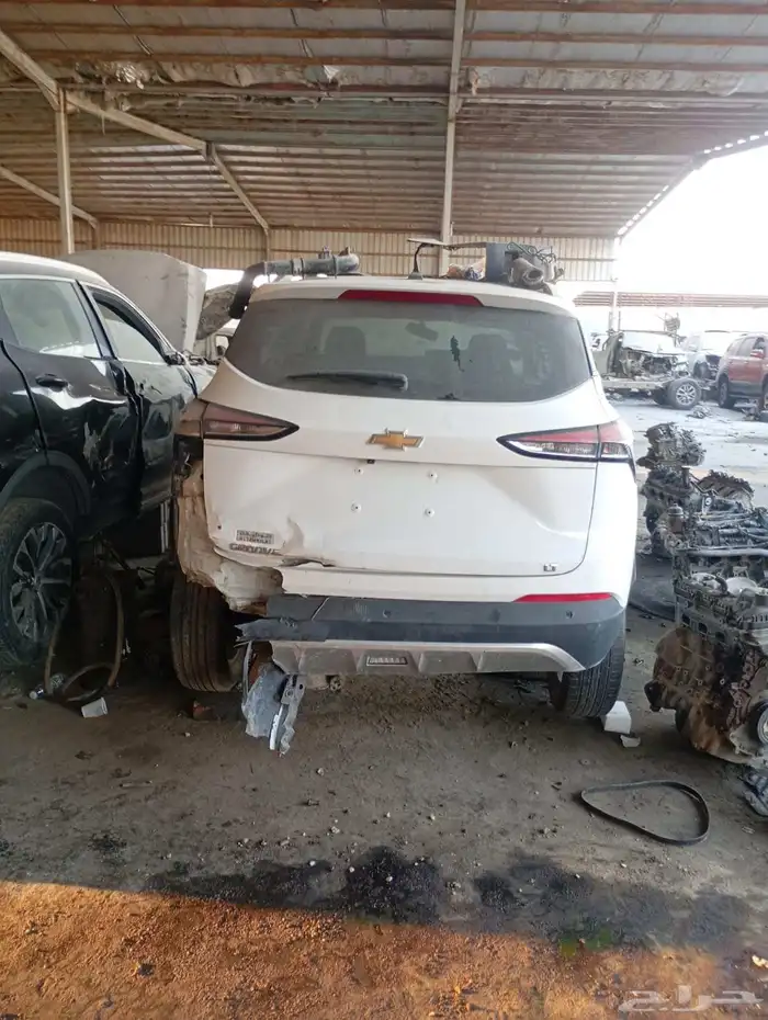 جروف 2023 تشليح فقط 1