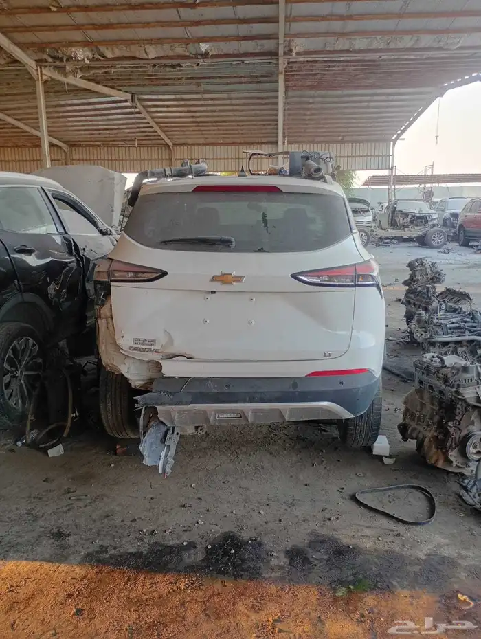 جروف 2023 تشليح فقط 2