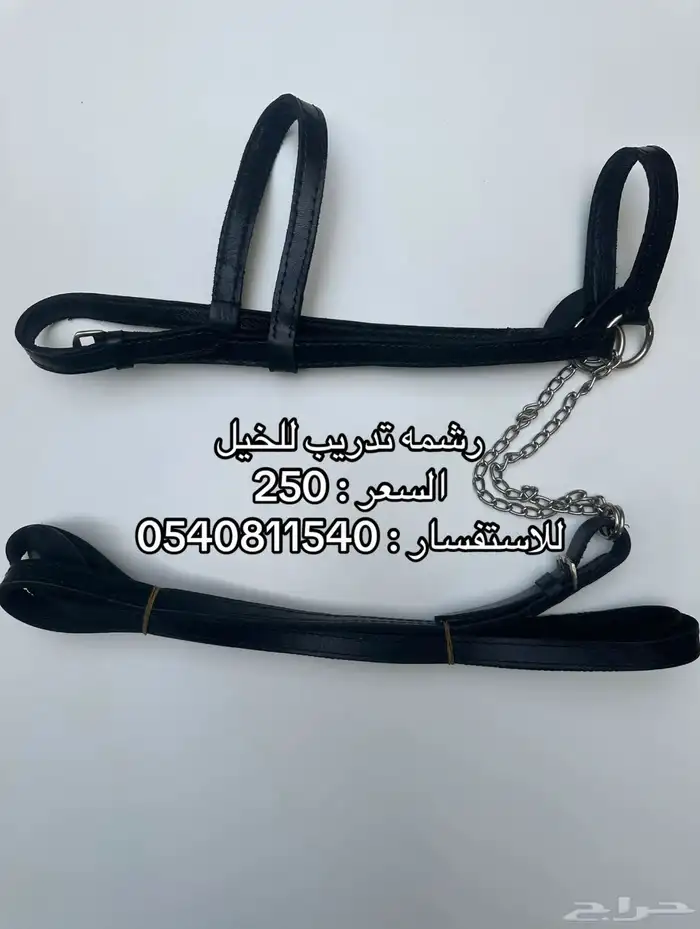 مستلزمات خيل 4