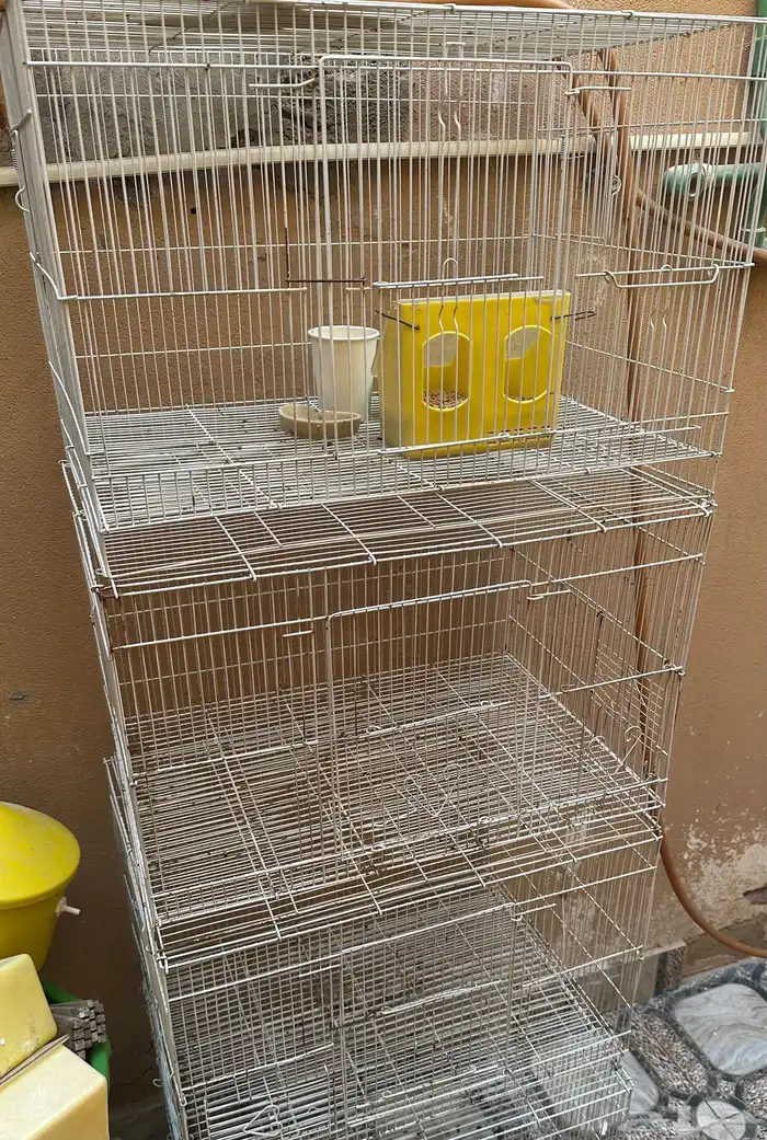 سقايات أقفاص محاكر طيور للبيع فرصة 0