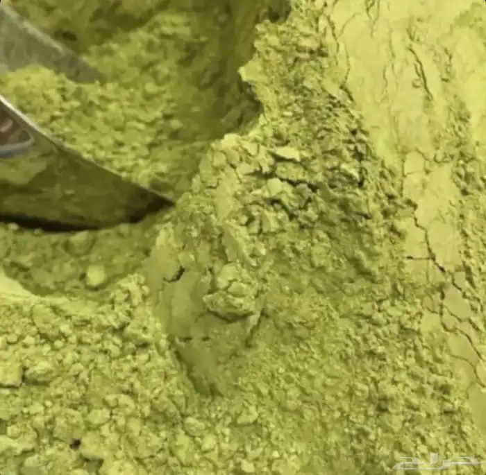 حناء المدينة 0