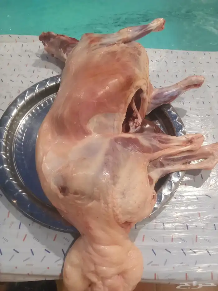 معلم مشويات خارجي أبو محمد 1