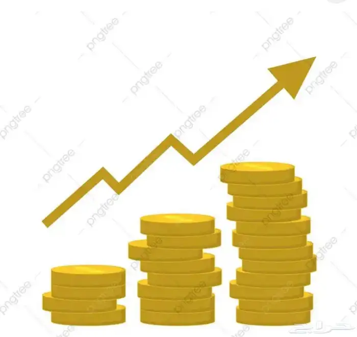 شركه قائمه تحتاج شريك مده 6 اشهر لأحد مشاريعها 0