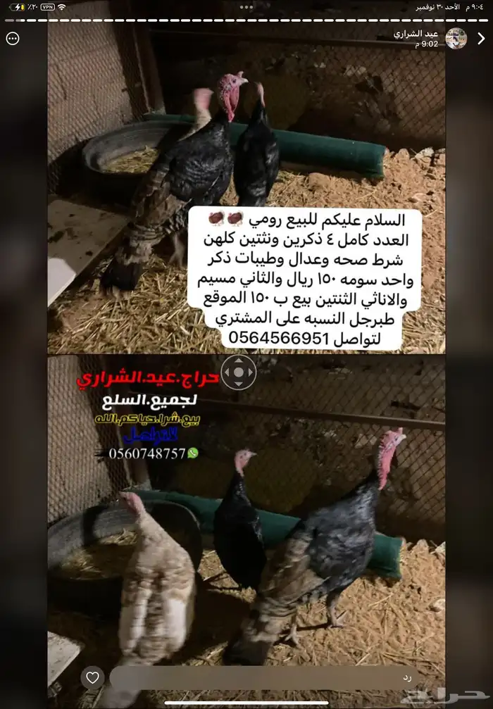 البيع رومي 0