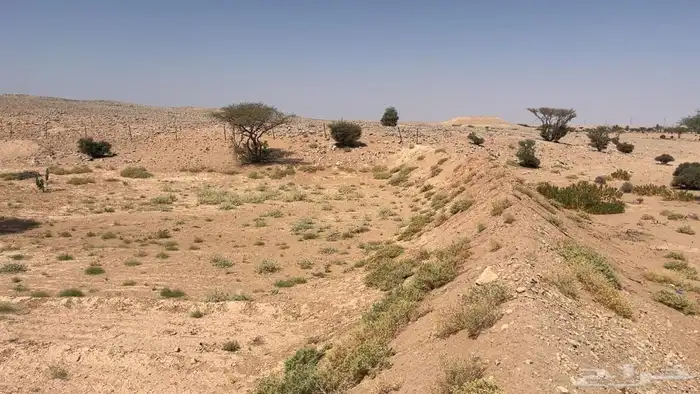 أرض زراعية للبيع 4