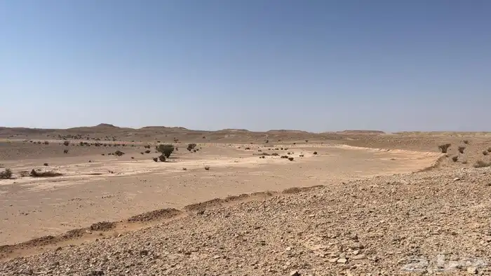 أرض زراعية للبيع 1