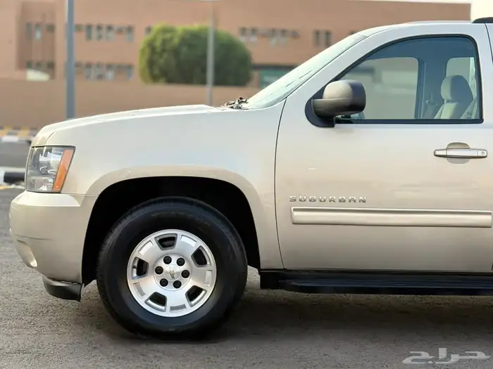 سوبربان 2012 (التوكيلات) 11