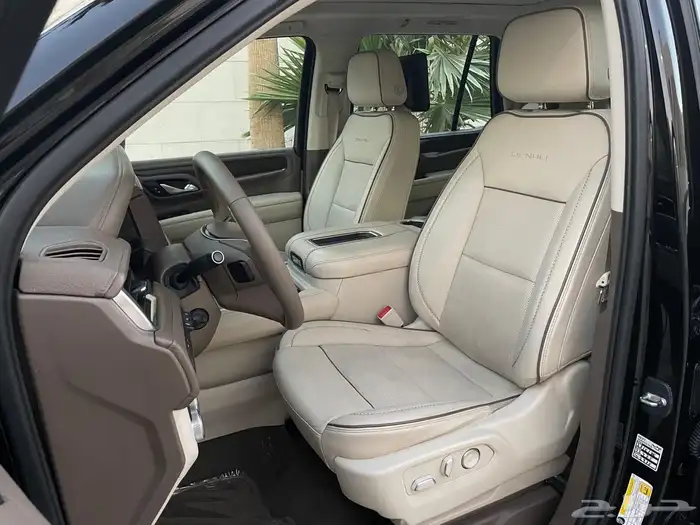 يوكن دينالي 10