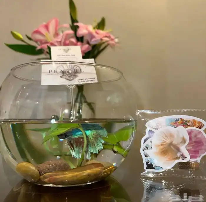 سمك فايتر 14