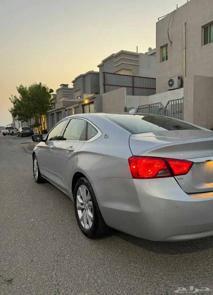 امبالا 2019 16