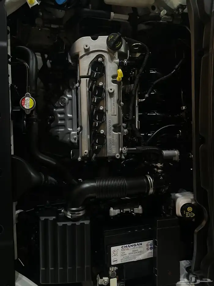 شانجان 2025 بلد 21