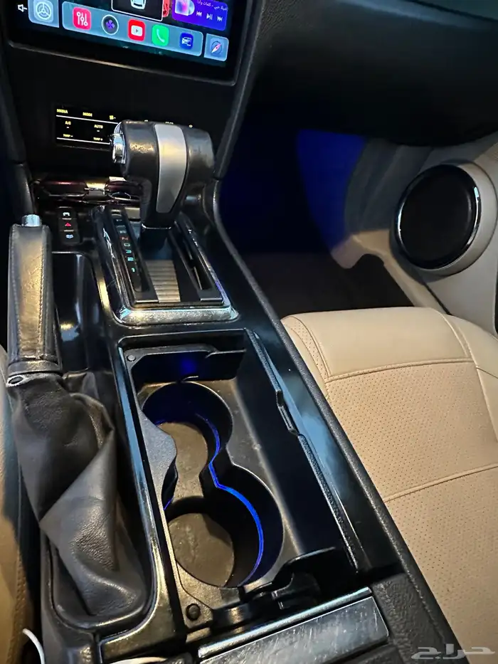 موستنق 2010 19