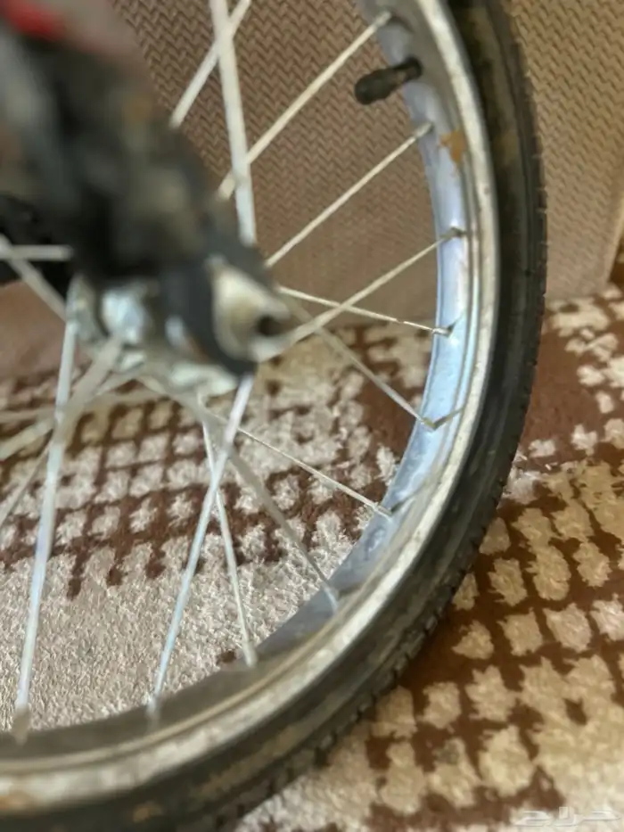 سيكل ما شاء الله رامبو 4