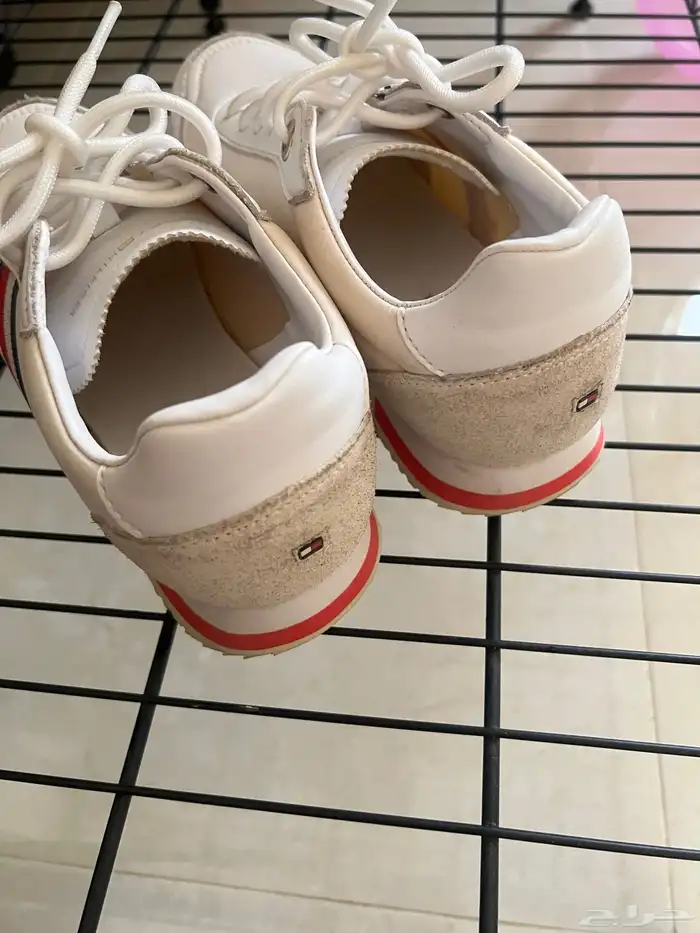 سبورت تومي هيلفيغر 2