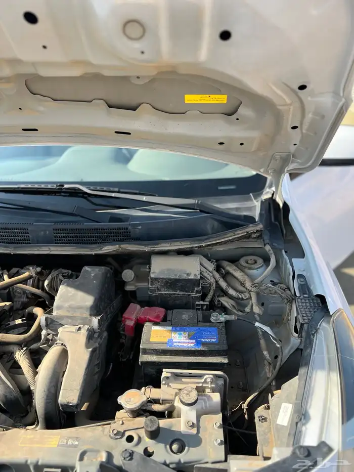 صني 2020 وكاله ممشى قليل 2