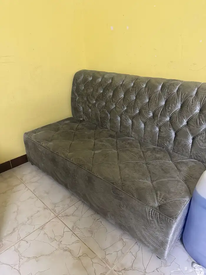 كنبات للبيع 7