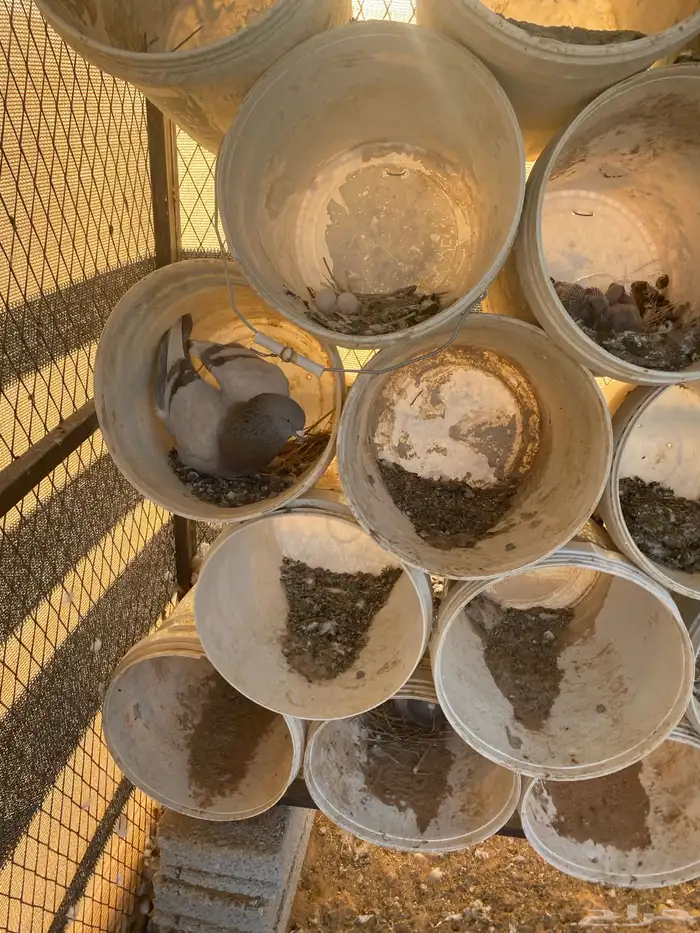 مشروع حمام منتج 15