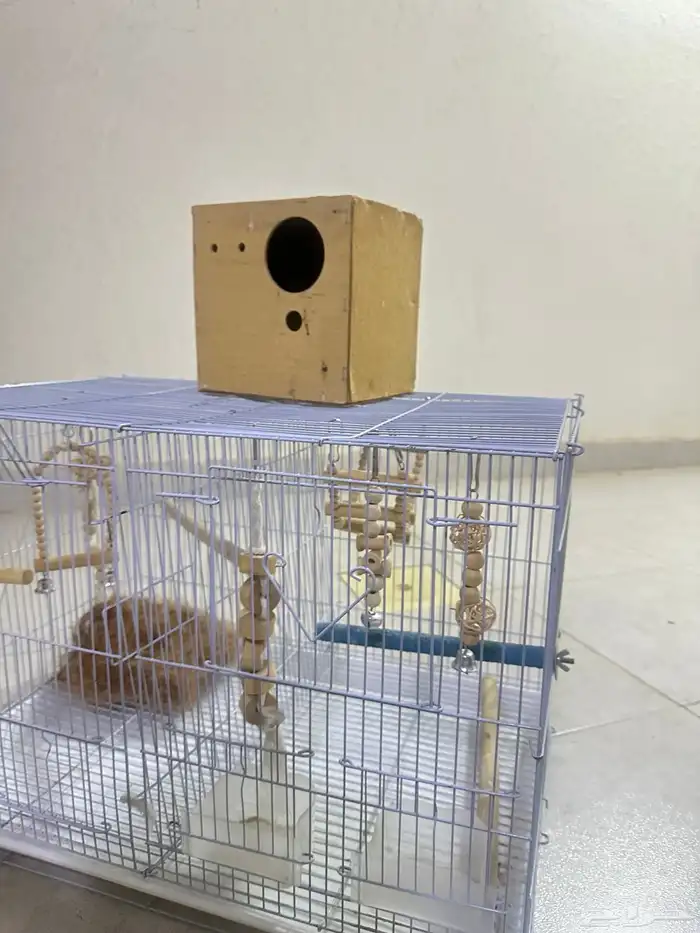 قفص طيور 601 0