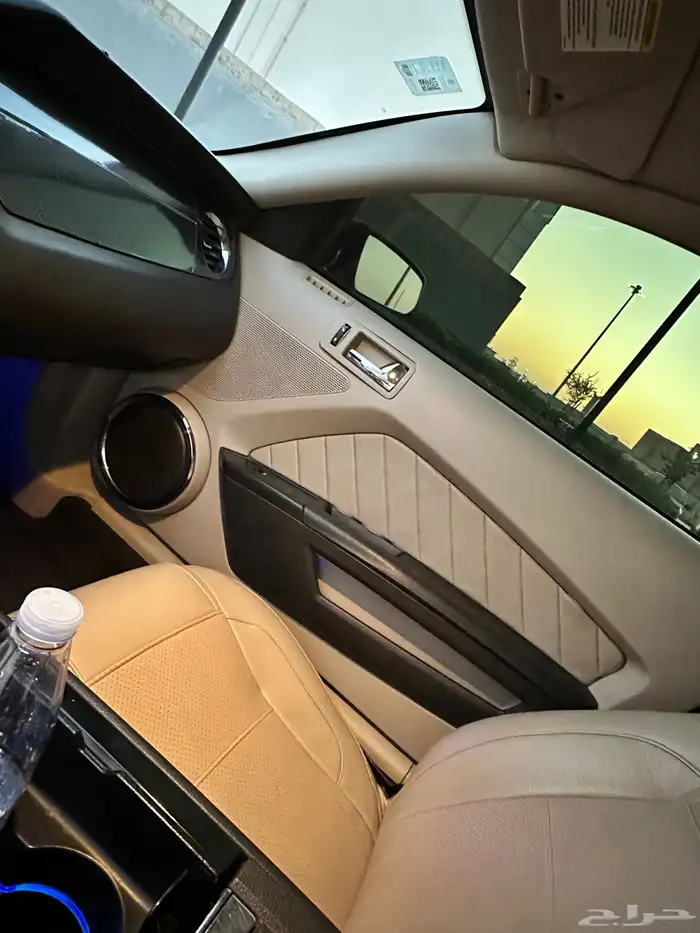 موستنق 2010 17