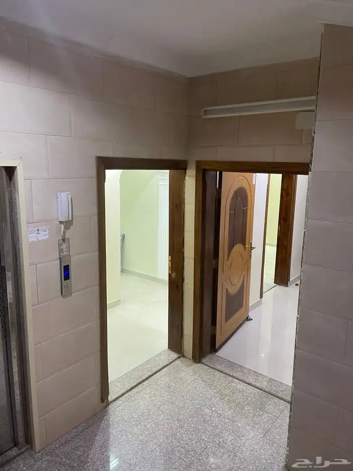 مطلوب شقة للإيجار 8