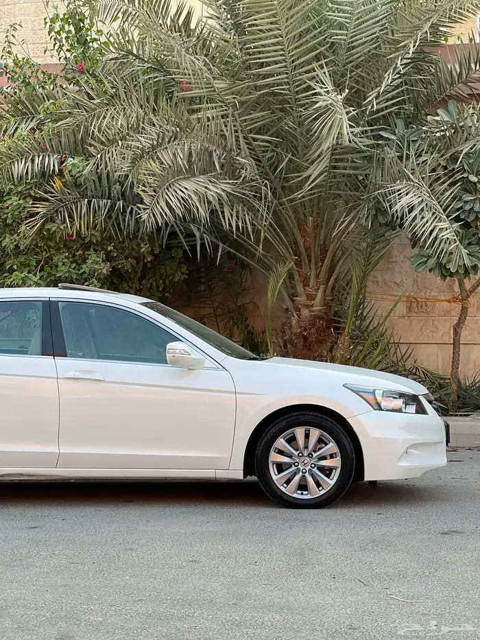 هوندا أكورد 2012 مخزن ممشى قليل مستخدم أول وكالة 6