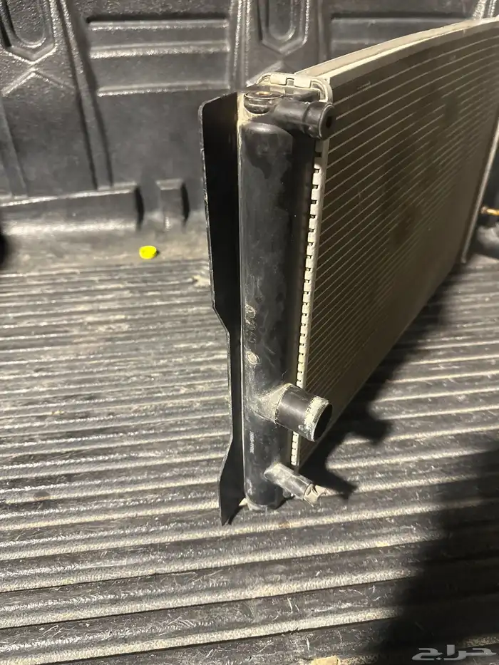 لديتر كورلا 2011 3